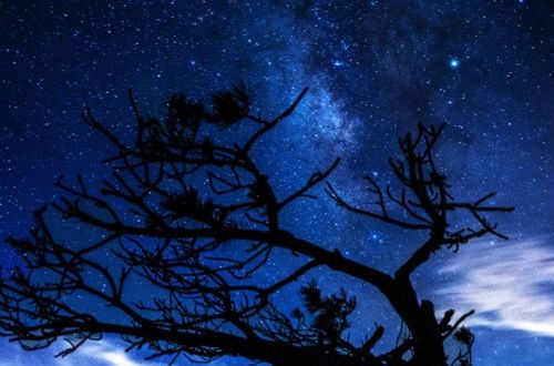 (白昼无日黑夜无月)无昼无夜指什么？黑白颠倒的生活模式背后隐藏着怎样的秘密？
